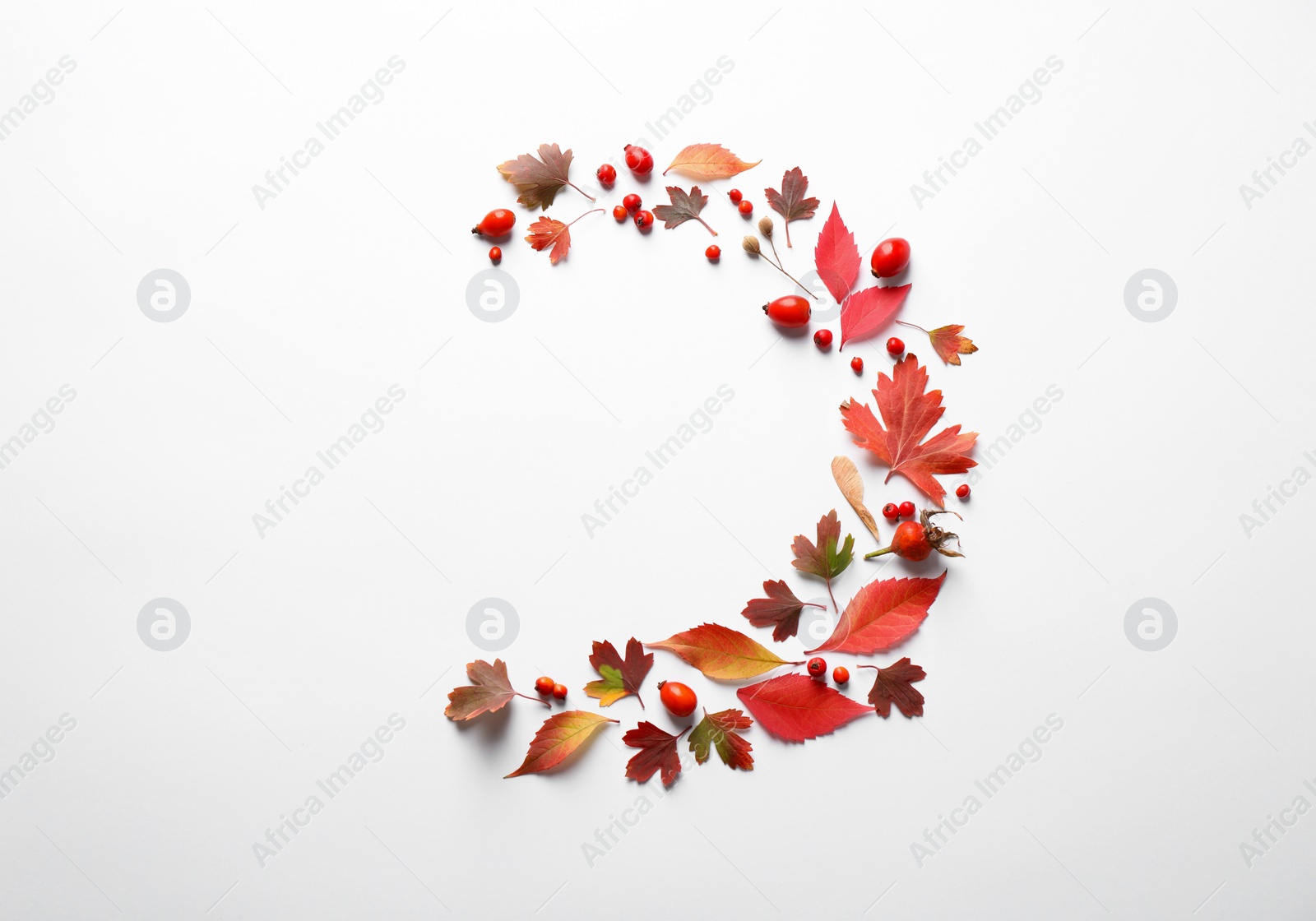 Photo of Beautiful composition with autumn leaves on white background, flat lay. Space for text