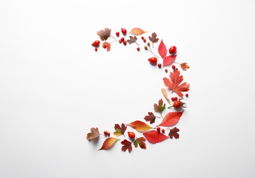 Photo of Beautiful composition with autumn leaves on white background, flat lay. Space for text