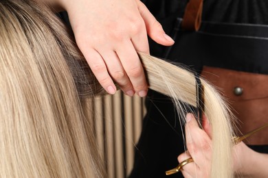 Hairdresser combing client's hair in salon, closeup