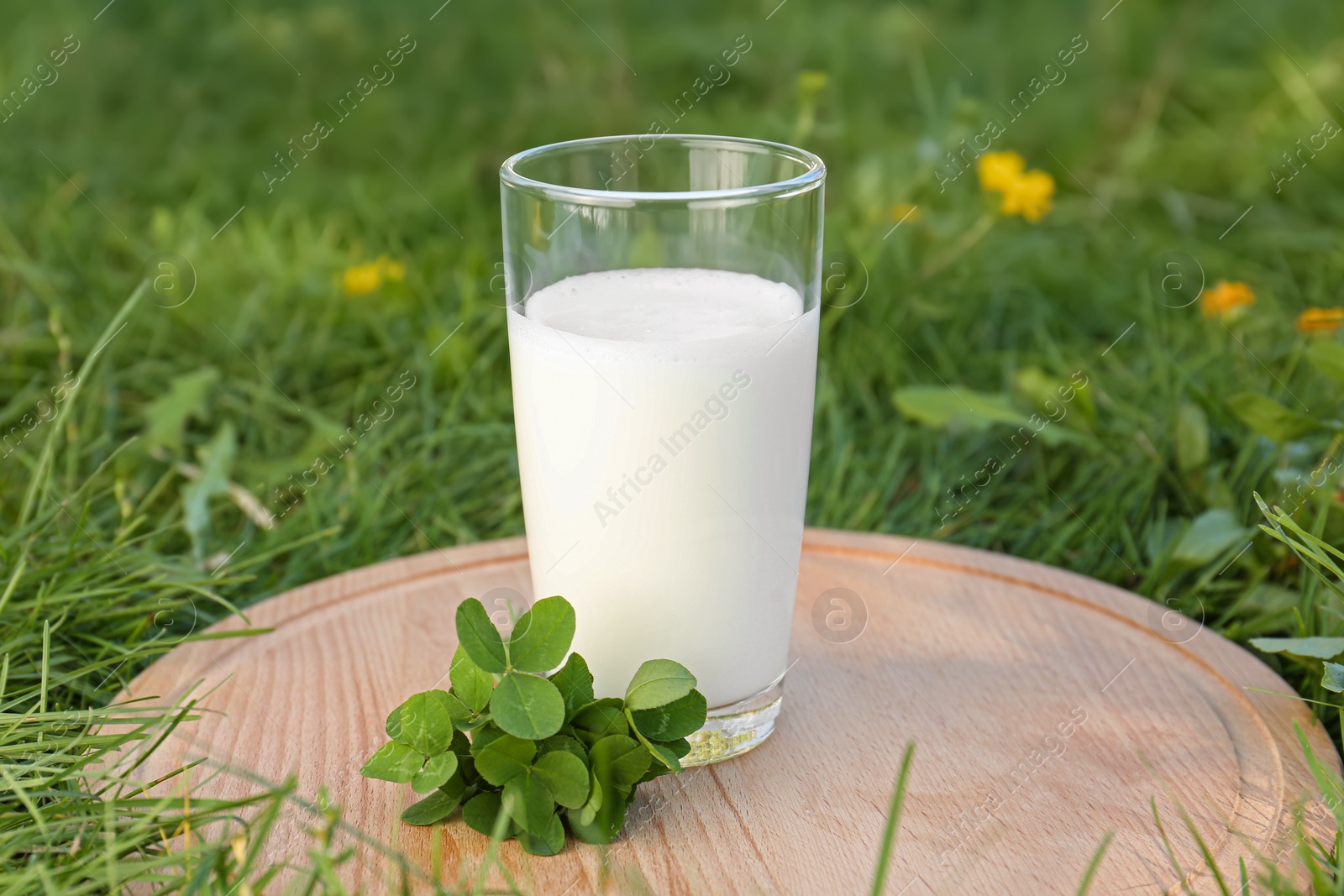 Photo of Glass of fresh milk and green leaves on wooden board outdoors