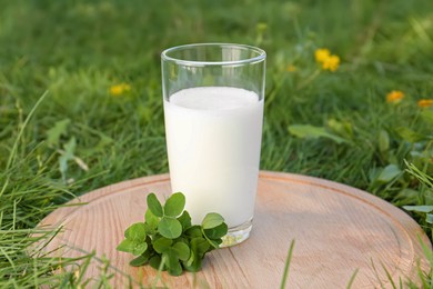 Glass of fresh milk and green leaves on wooden board outdoors