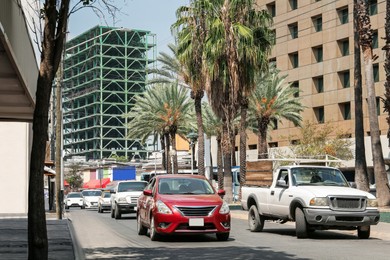 Beautiful view of city street with modern buildings and palm trees