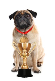 Image of Cute pug dog with gold medal and trophy cup on white background