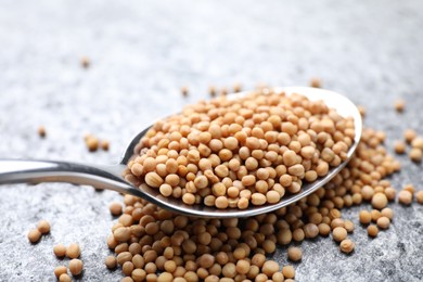 Photo of Mustard seeds in spoon on grey table, closeup