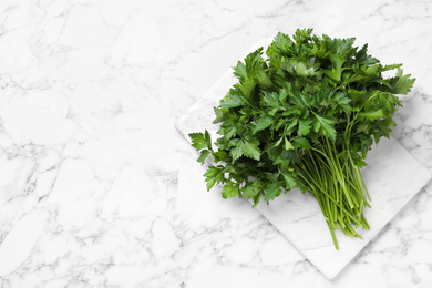 Photo of Bunch of fresh green parsley on white marble table, top view. Space for text