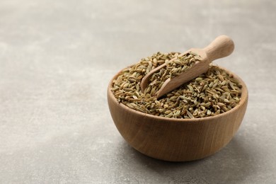Photo of Fennel seeds and scoop in bowl on grey table, space for text