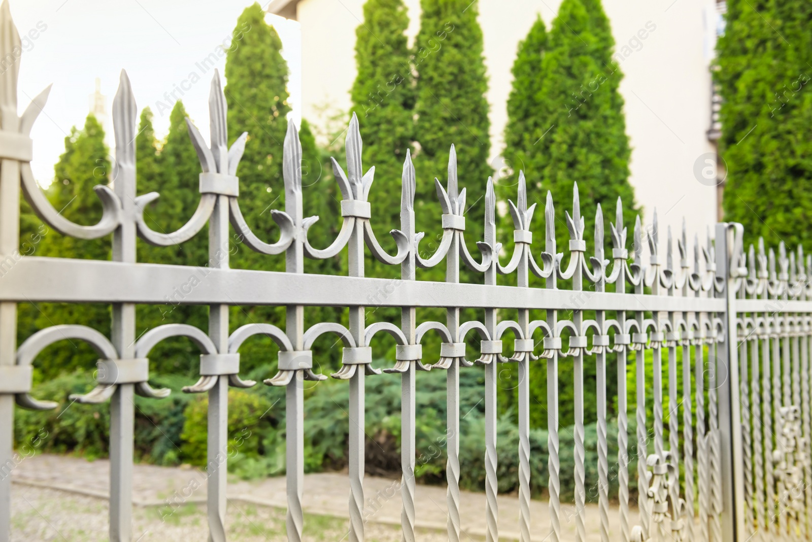 Photo of Trees behind beautiful iron fence near pathway outdoors