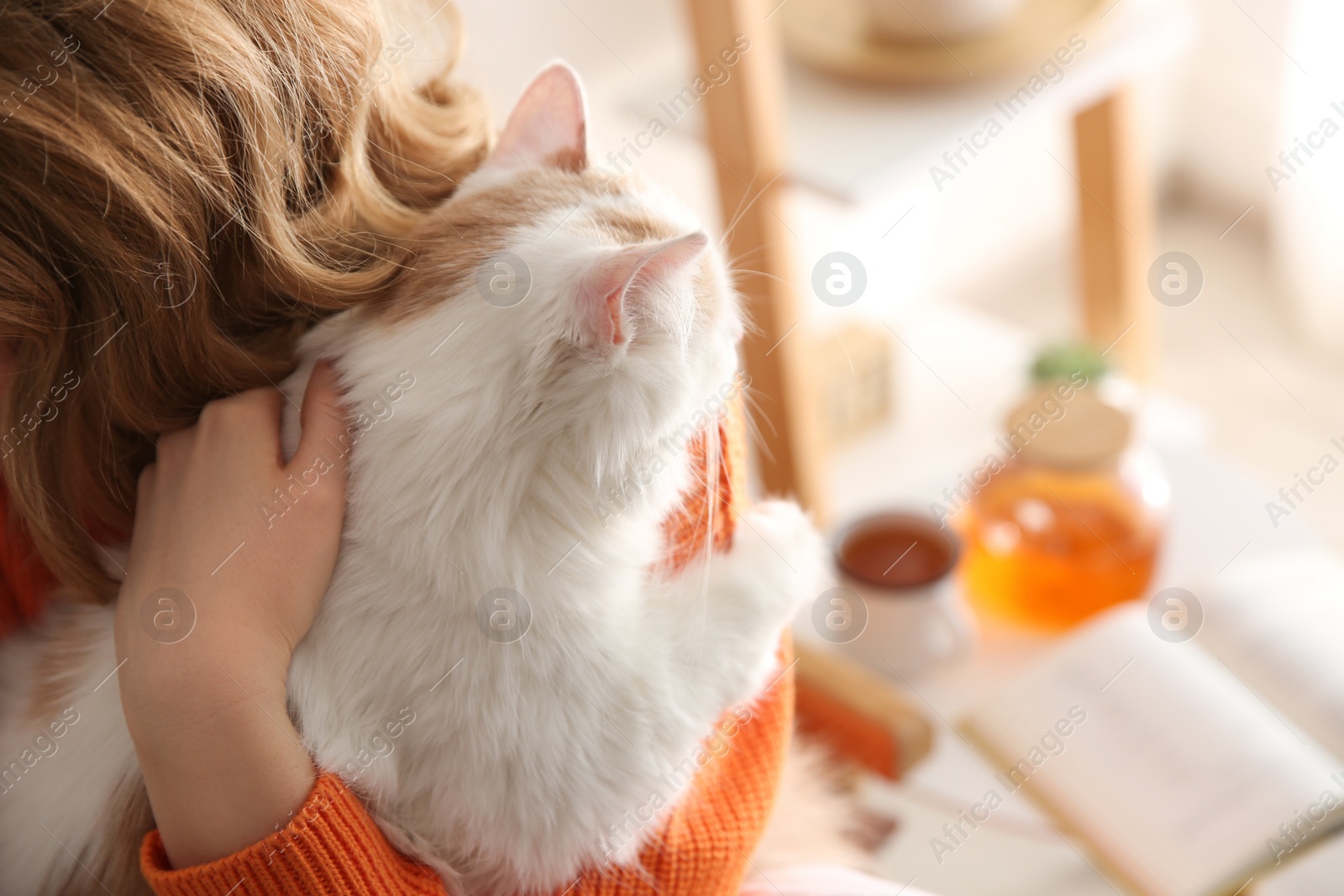 Photo of Woman with cute fluffy cat indoors, closeup
