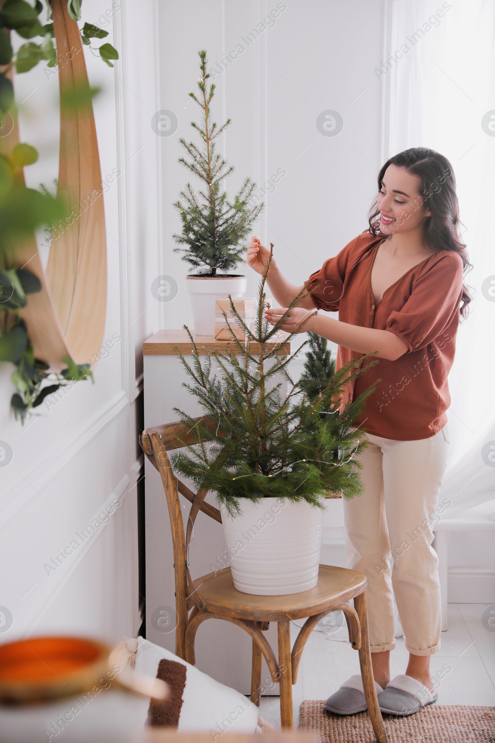 Photo of Woman decorating potted fir tree with Christmas lights at home