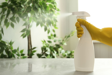 Photo of Person in gloves spraying detergent at table indoors, closeup. Space for text