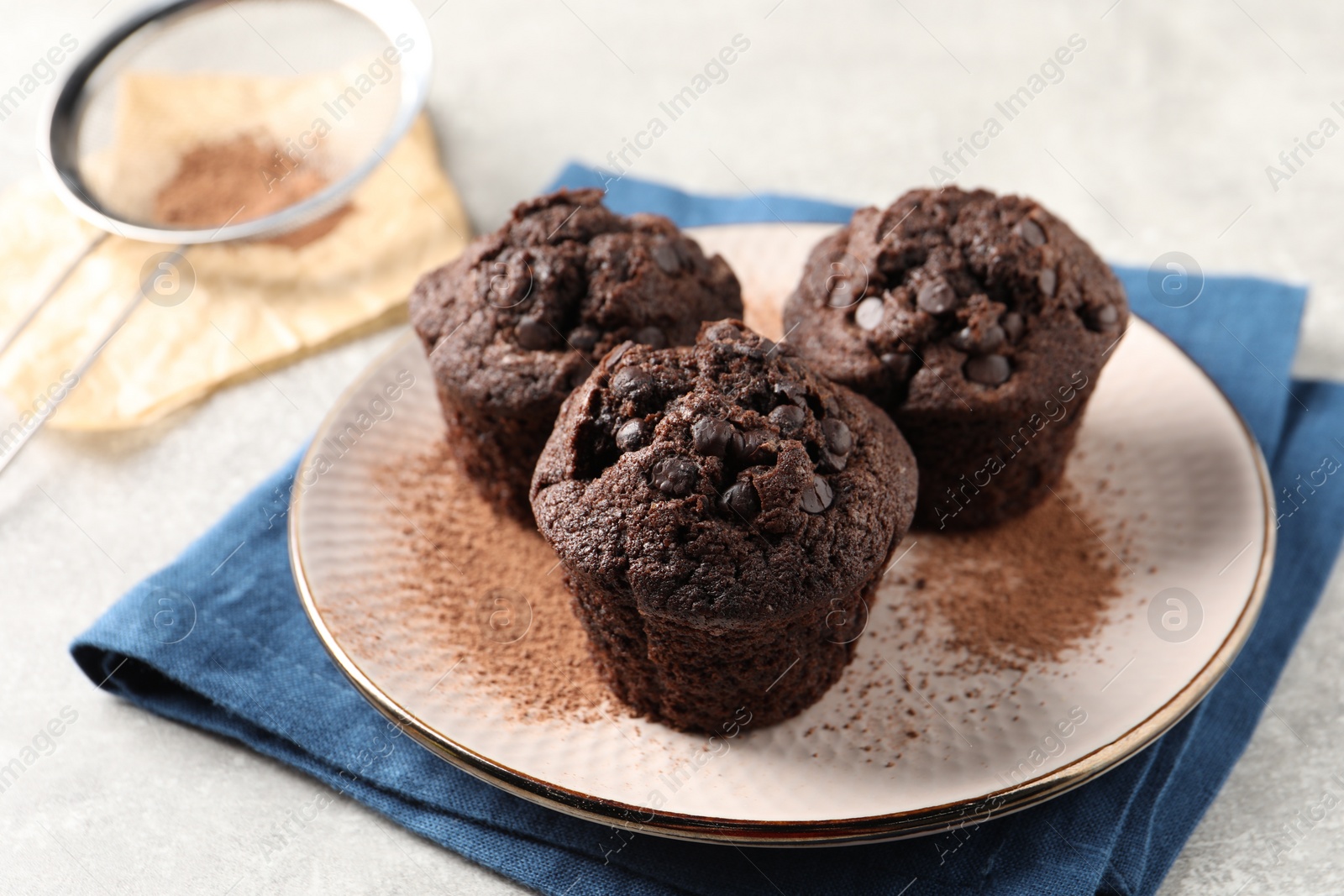 Photo of Delicious chocolate muffins and cacao powder on light grey table, closeup