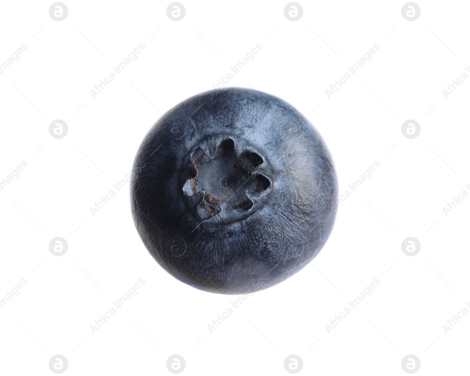 Photo of Whole fresh tasty blueberry isolated on white