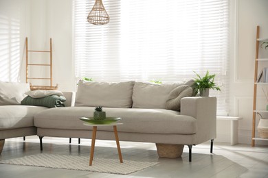 Stylish living room interior with comfortable grey sofa and plants