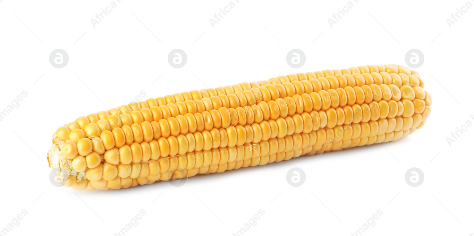 Photo of Ripe raw corn cob isolated on white