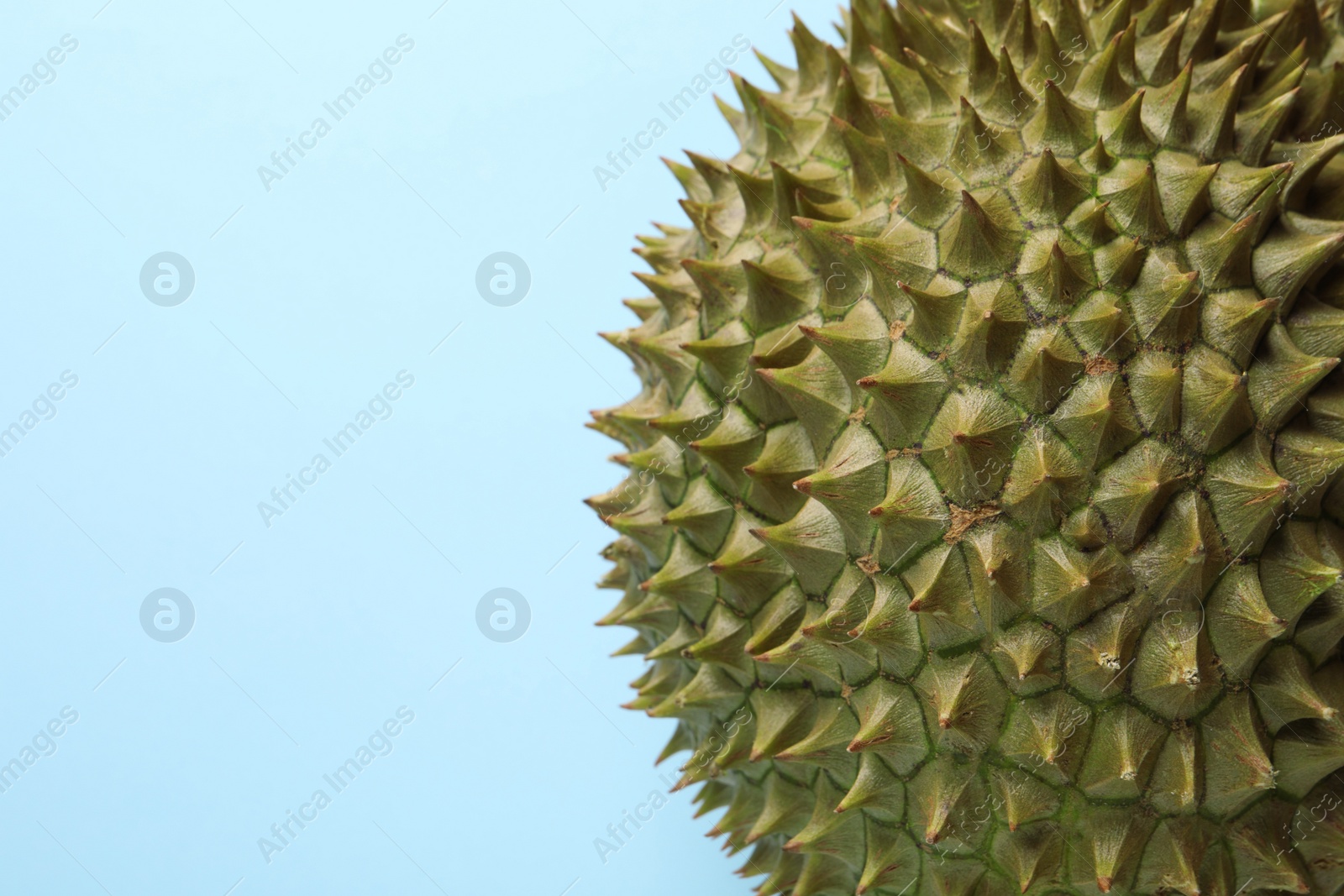 Photo of Fresh ripe durian on light blue background, closeup. Space for text