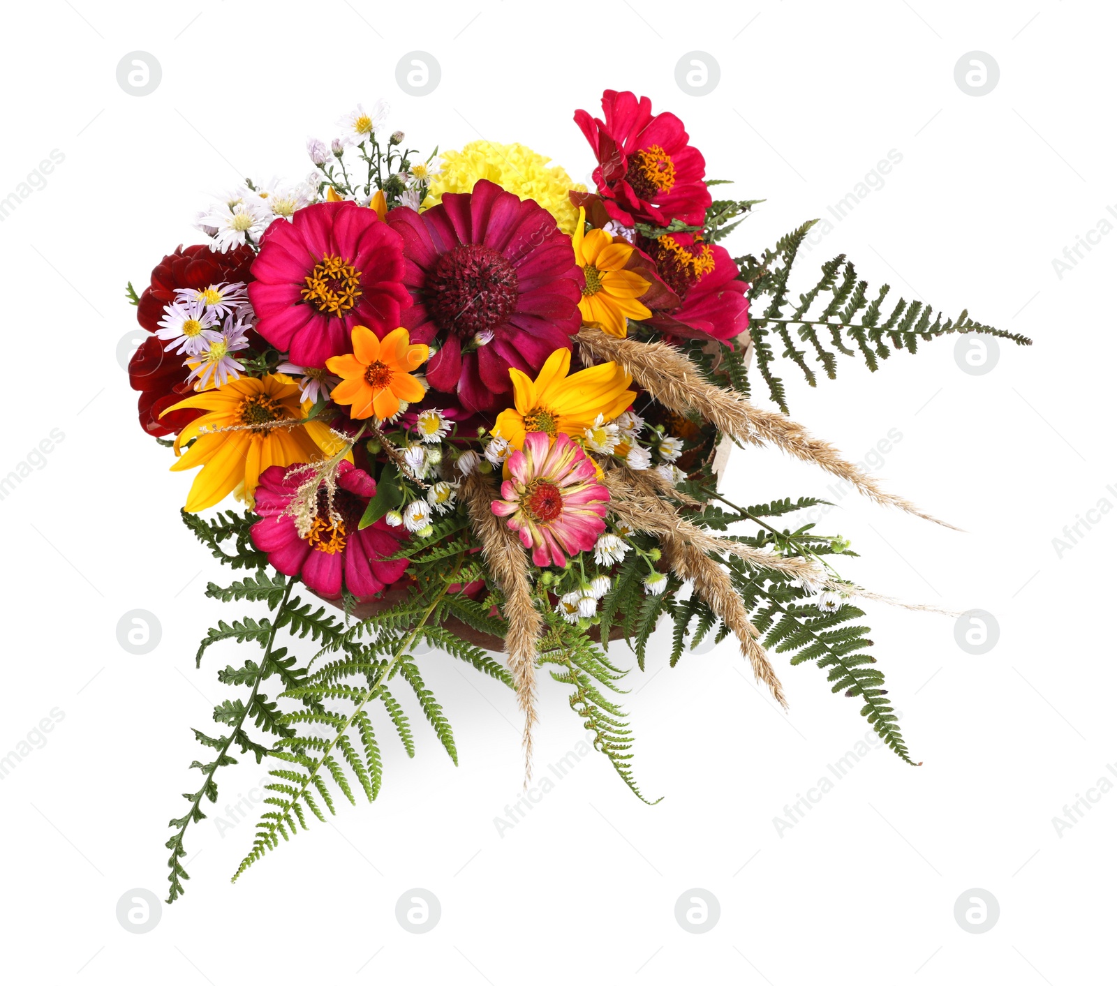 Photo of Bouquet of beautiful wild flowers isolated on white