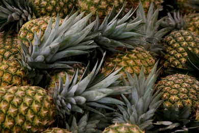 Photo of Heap of delicious ripe pineapples as background. Exotic fruit