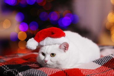 Photo of Adorable cat wearing Christmas hat on blanket against blurred lights