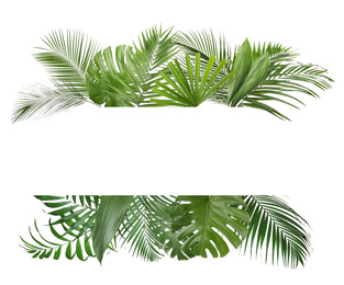 Frame made of beautiful lush tropical leaves on white background, top view. Space for text