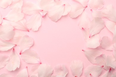 Photo of Frame of beautiful spring blossoms petals on pink background, flat lay. Space for text