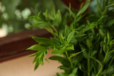 Photo of Beautiful green mint on blurred background, closeup. Space for text