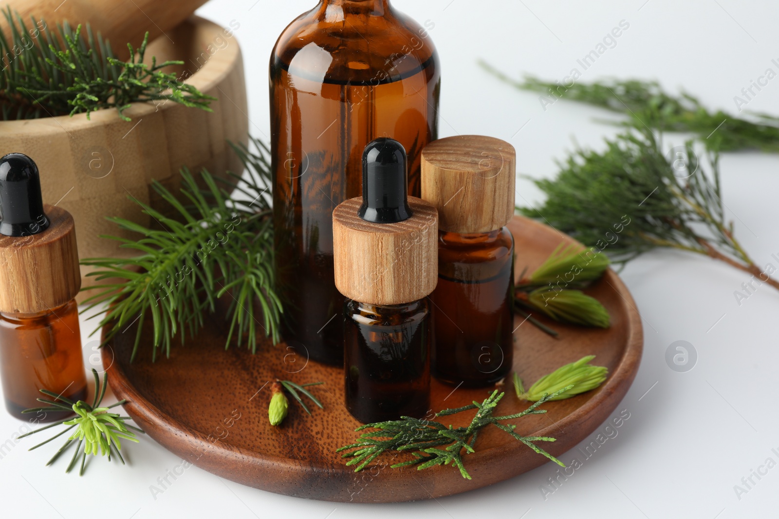 Photo of Aromatherapy. Different essential oils and fir twigs on white background