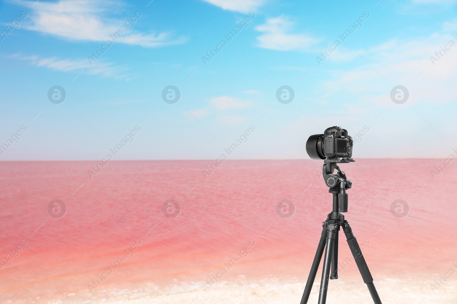 Photo of Professional camera on tripod near pink lake