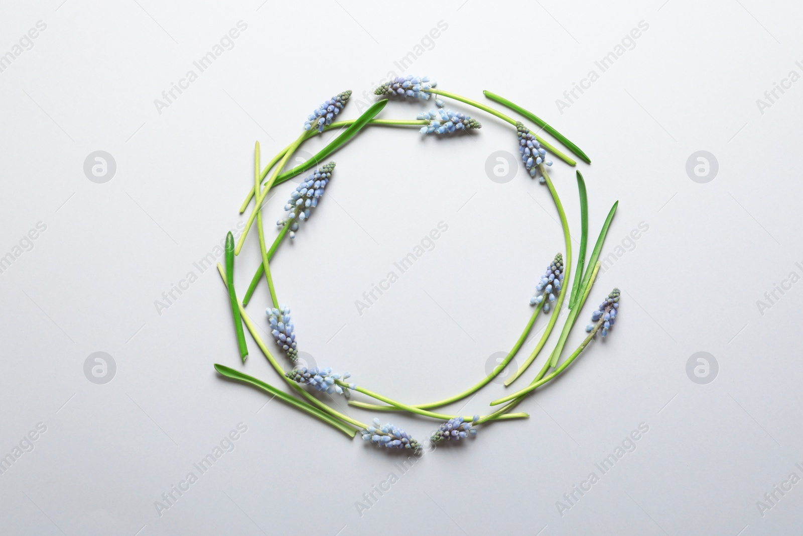 Photo of Frame made of spring muscari flowers on color background, top view with space for text