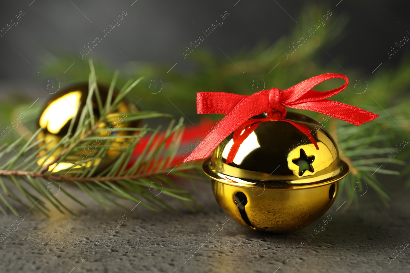 Photo of Golden sleigh bells and fir branches on grey background, closeup