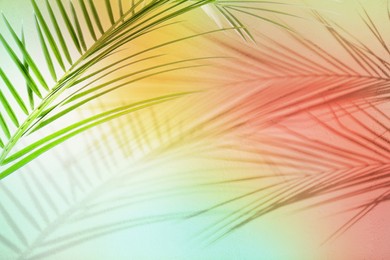 Image of Palm branch and shadows on color background, space for text. Summer party