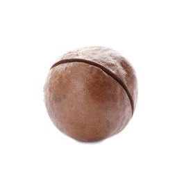 Photo of Single organic Macadamia nut on white background