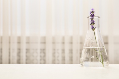 Photo of Conical flask with plant on table indoors. Space for text