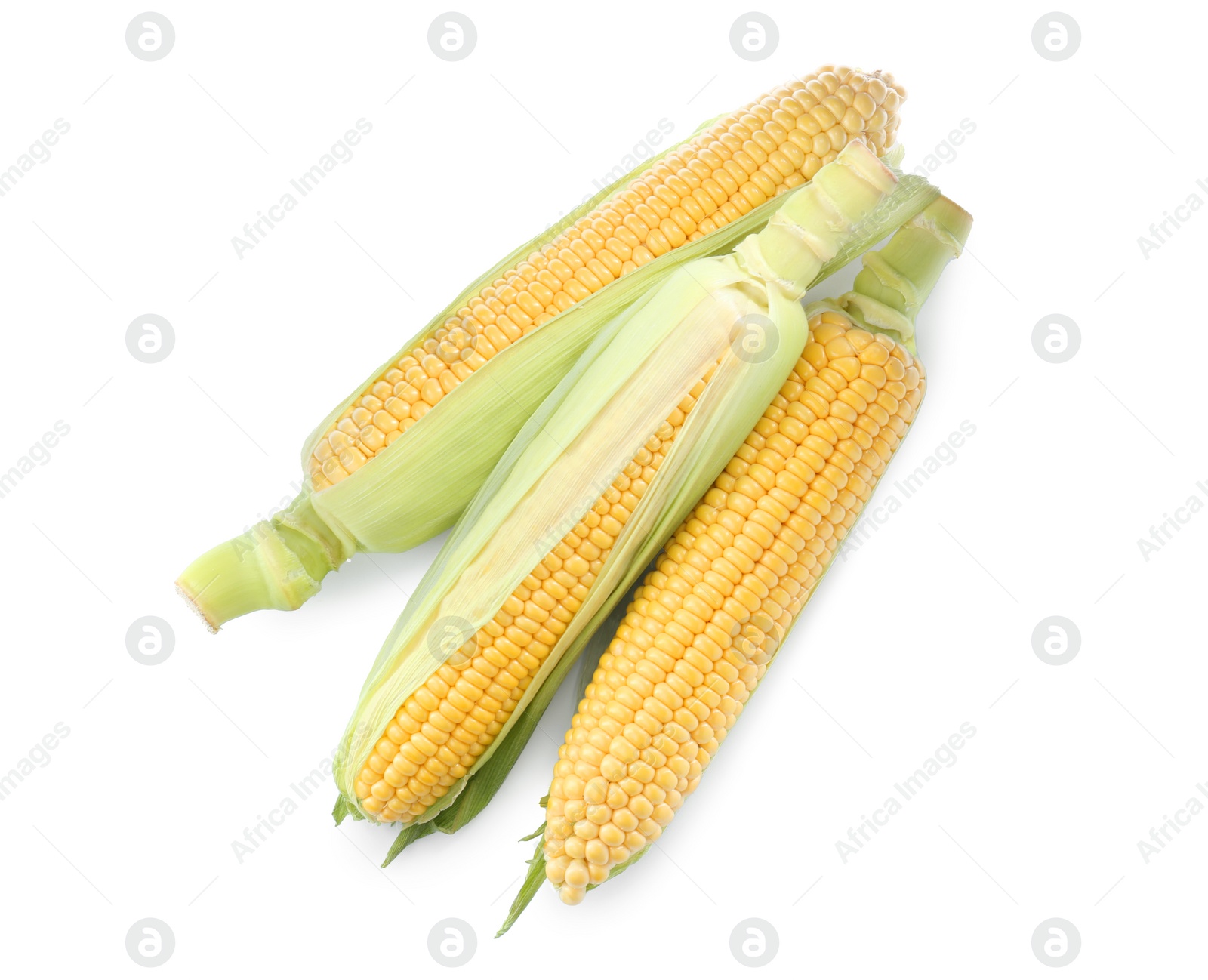 Photo of Tasty fresh corn cobs isolated on white, top view