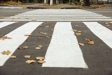 Photo of Pedestrian crossing on empty city street in autumn, closeup