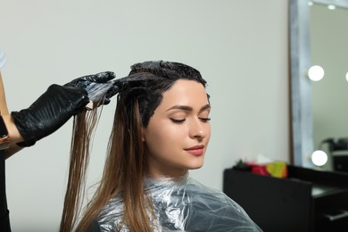 Professional hairdresser dyeing client's hair in beauty salon