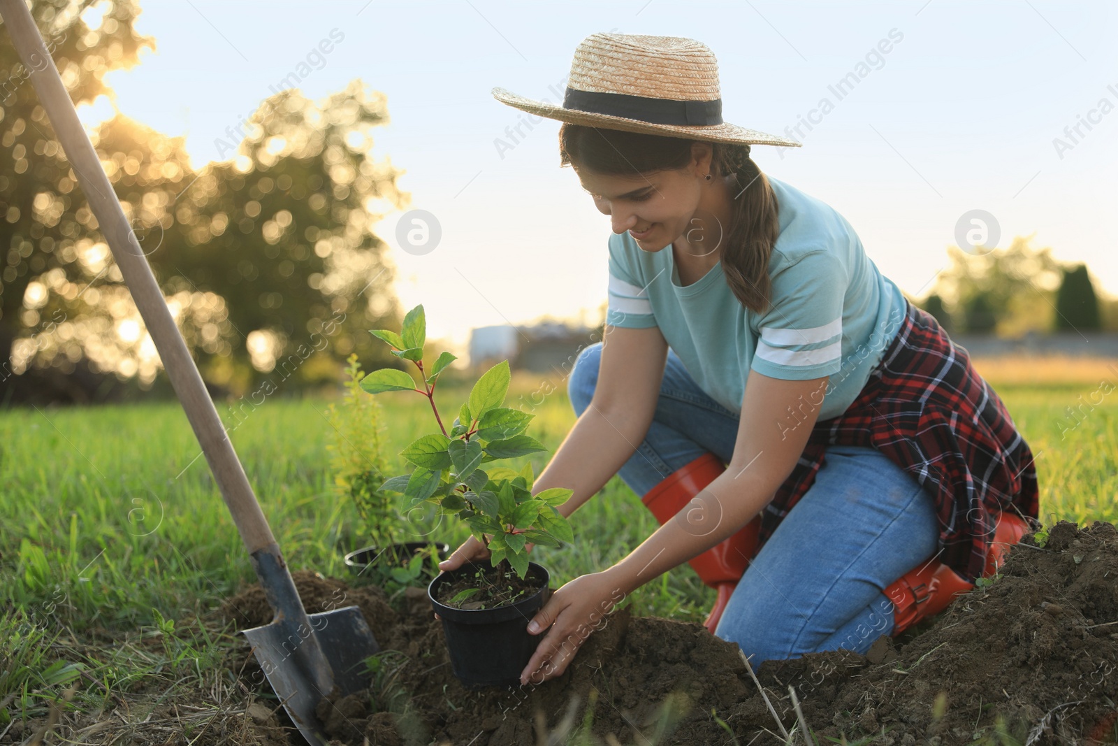 Photo of Happy young woman planting tree in countryside