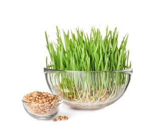 Photo of Bowls with sprouted wheat grass and seeds isolated on white