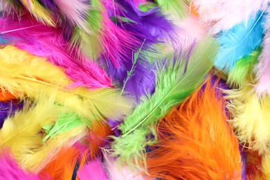 Photo of Many beautiful bright feathers as background, closeup