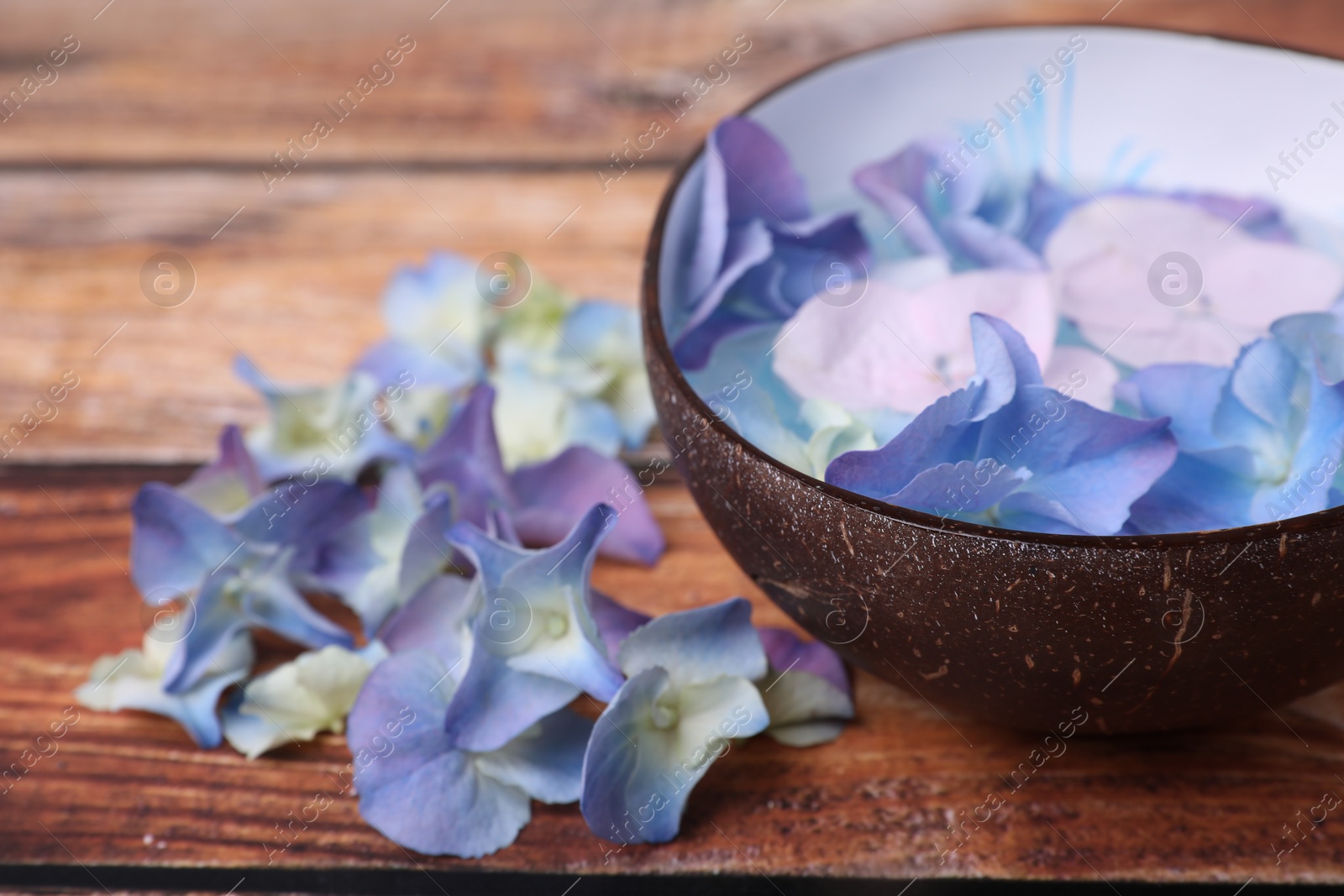 Photo of Spa composition. Aromatic water in bowl and flowers on wooden table, closeup. Space for text