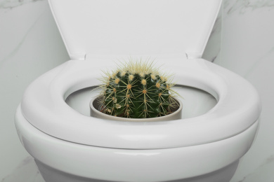 Toilet bowl with cactus near marble wall, closeup. Hemorrhoids concept