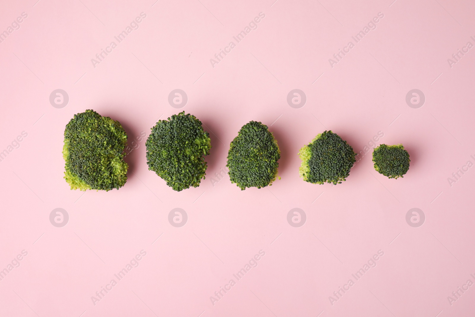 Photo of Flat lay composition with fresh green broccoli on color background