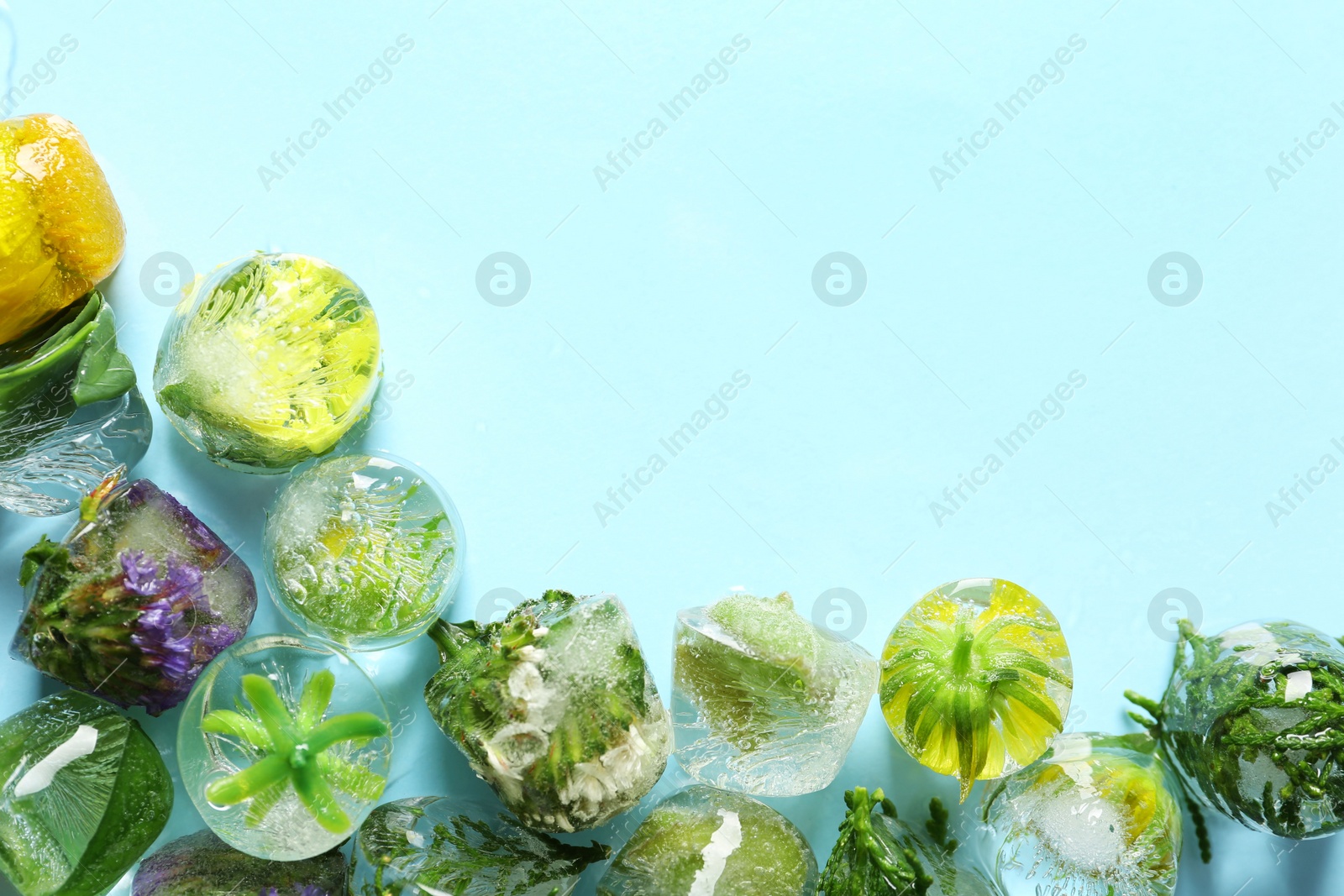 Photo of Ice cubes with flowers and leaves on light blue background, flat lay. Space for text