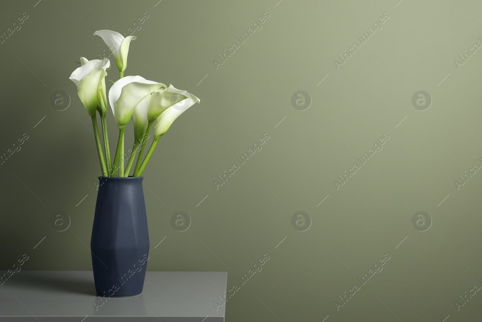 Photo of Beautiful calla lily flowers in vase on grey table near olive wall. Space for text