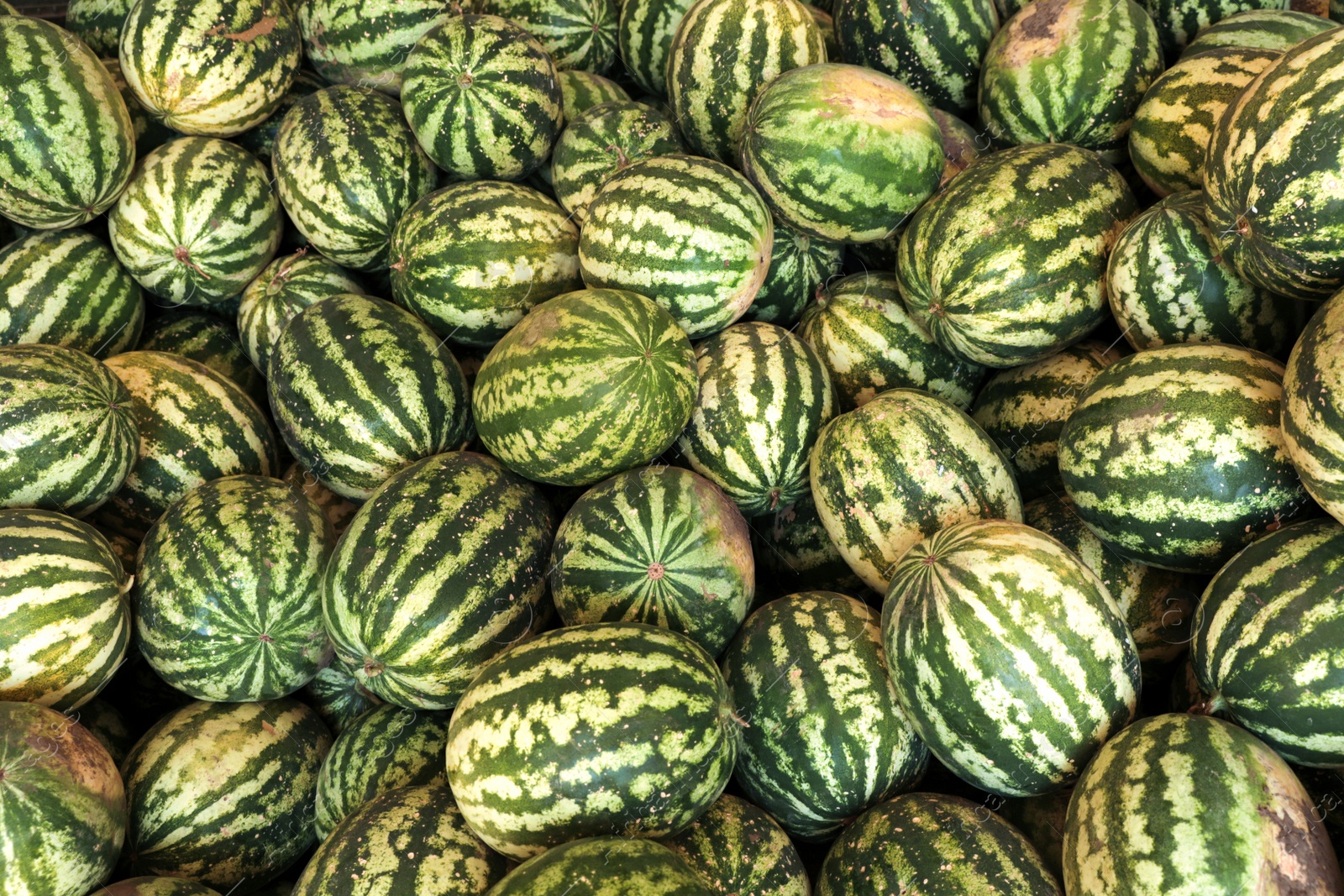 Photo of Delicious ripe watermelons as background, top view