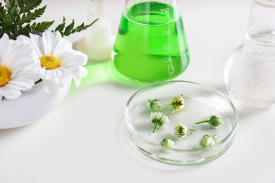 Ingredients and laboratory glassware on white background. Dermatology research