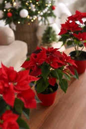 Photo of Beautiful poinsettia on wooden table indoors. Traditional Christmas flowers