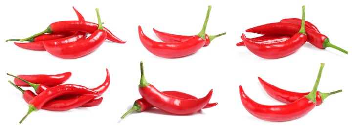 Set with ripe red chili peppers on white background. Banner design
