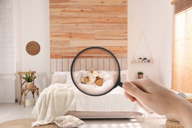 Image of Woman with magnifying glass detecting bed bugs in bedroom, closeup