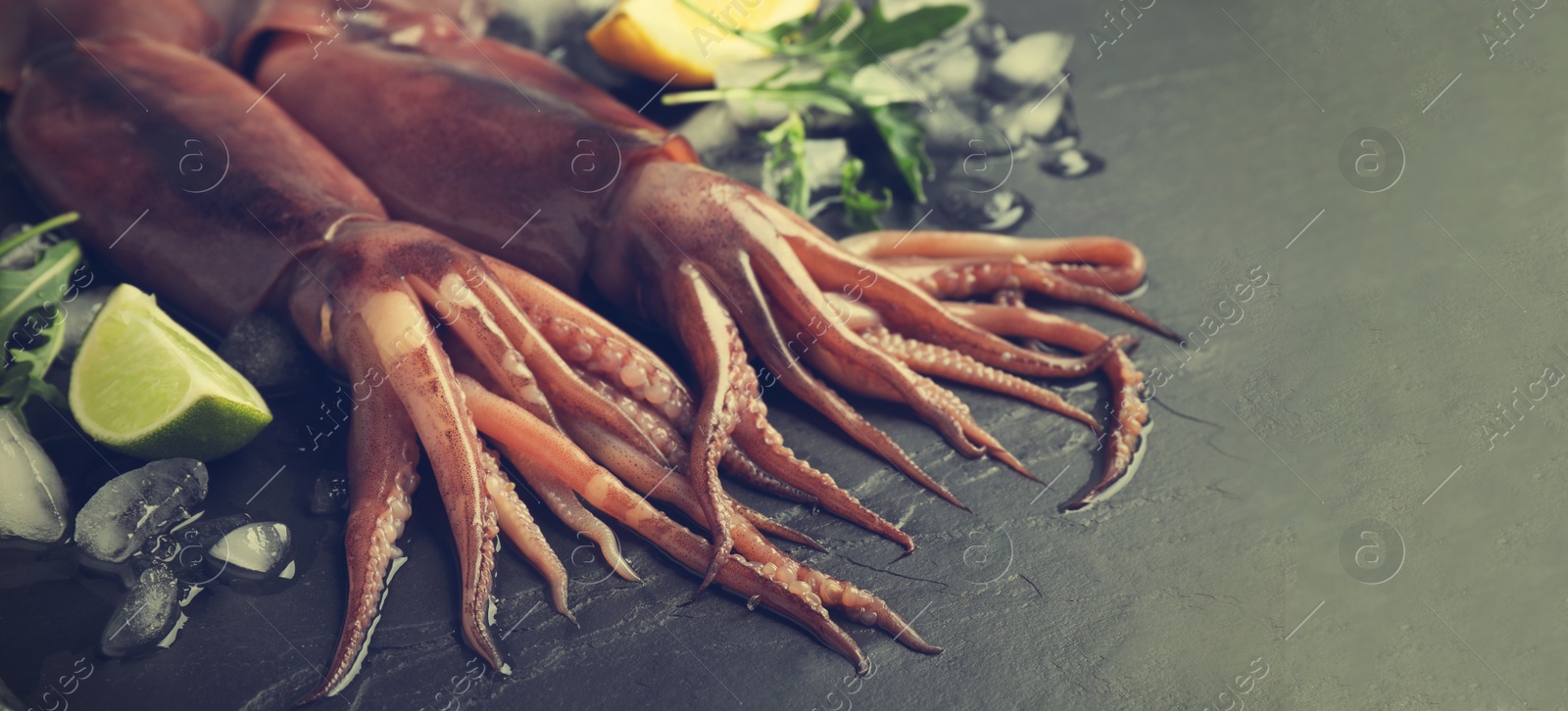 Image of Fresh squids, slices of lemon and lime, arugula and ice cubes on grey table, closeup. Banner design with space for text