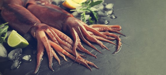 Fresh squids, slices of lemon and lime, arugula and ice cubes on grey table, closeup. Banner design with space for text